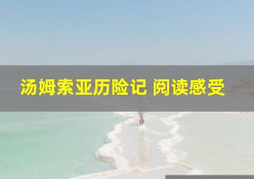 汤姆索亚历险记 阅读感受